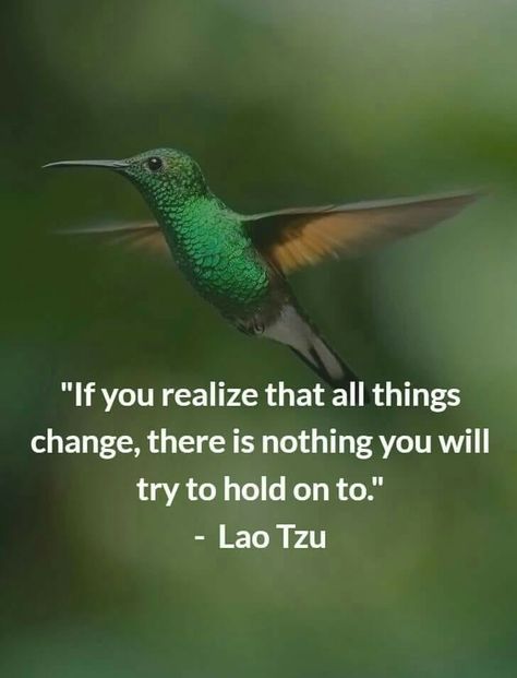 If you realize that all things change, there is nothing you will try to hold on to. - Lao Tzu Taoism Quotes, Citation Zen, Lao Tzu Quotes, Live My Life, Zen Quotes, Motivation Positive, Things Change, Quotes Beautiful, Buddhist Quotes