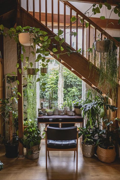 Forest Retreat, Plant People, Jungle Room, Best Indoor Plants, Indoor Jungle, Plants Indoor, New York Life, Welcome To The Jungle, House Plants Indoor