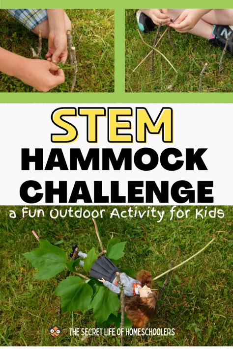 Stem Camp Activities, Farm Science, Winter Stem Challenges, Stem Activity For Kids, Sustainability Activities, Teen Activities, Learning Outside, Stem Camp, Elementary Stem Activities