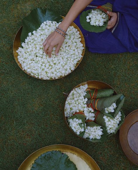 South Indian Culture Aesthetic, Indian Flower Aesthetic, Cotton Saree Styling, Indian Culture Aesthetic, Monsoon Sky, South Indian Aesthetic, South Indian Culture, South Asian Culture, South Asian Aesthetic