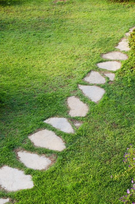 Camino de piedra en jardín entre césped ... | Premium Photo #Freepik #photo #flor #linea #naturaleza #carretera Stone Path Garden, Garden Steps Diy, Decorative Stepping Stones, Grass Growing, Nursery Planning, Concrete Stepping Stones, Faux Grass, Garden Floor, Garden Stepping Stones