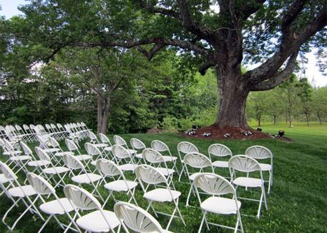 Looking to keep your celebration simple, yet elegant? Try these easy-to-manage folding chairs as a way to make sure everybody has the next best thing to a front row seat. Wedding Outdoor Seating, Table Rentals, Chair Rentals, Wedding Rental, White Fan, Tent Rentals, Folding Chairs, White Chair, Tent Wedding