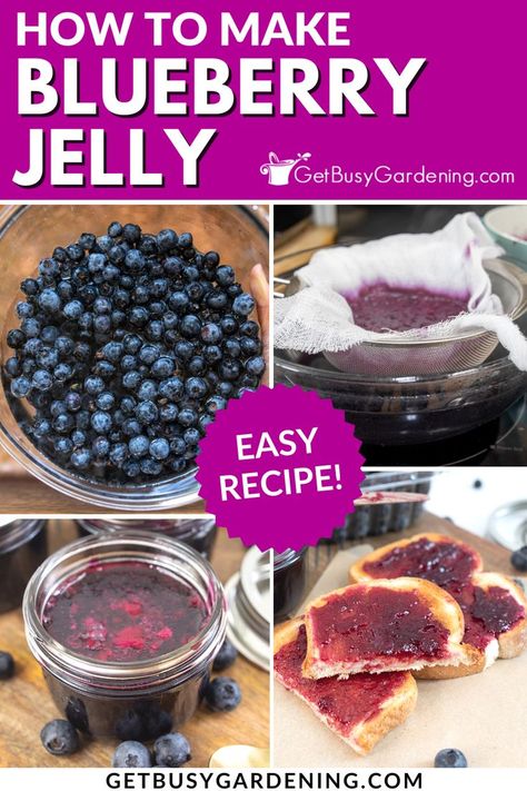 If you have always wanted to make your own homemade blueberry jelly, but felt uncertain where to start, this super easy blueberry jelly recipe is for you. It’s perfect for slathering on your toast, muffin, or biscuit for breakfast, snacks for the family, dolloping on your favorite dessert, and more! I’ll show you exactly how to make your own homemade blueberry jelly, step by step. If you want to can blueberry jelly, I will show you how to do that as well! #foodpreservation #homemadejelly Blueberry Jelly Recipe, Homemade Blueberry Jelly, Blueberry Jelly, Canned Blueberries, Jelly Recipe, Homemade Jelly, Easy Blueberry, Blueberry Jam, Favorite Dessert