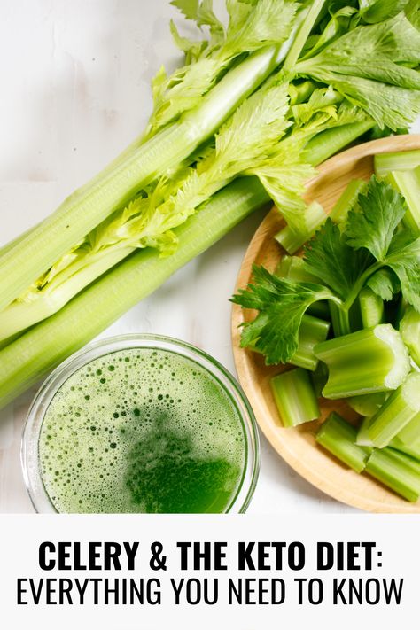 Everything you need to know about celery on the ketogenic diet and easy recipes you can have that are low carb friendly! Keto Friendly Vegetables, Keto Friendly Recipes, Low Carb Plan, Ketogenic Diet Recipes, Diet Help, Carb Diet, Keto Diet Recipes, Low Carb Diet, Ketogenic Diet