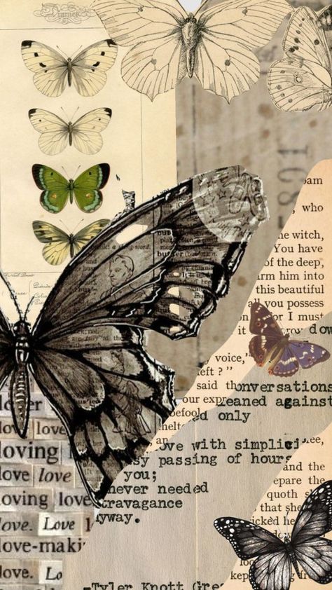 Checkout peytonmurphy8867's Shuffle Baterfly Wallpaper, Aesthetic Butterfly Wallpaper, Aesthetic Butterfly, Wallpaper Doodle, Simple Phone Wallpapers, Iphone Wallpaper Themes, Edgy Wallpaper, Vintage Poster Art, Cute Patterns Wallpaper