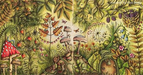 Secret Garden Coloring Book Finished, Enchanted Forest Coloring Book Johanna Basford, Magical Jungle Johanna Basford, Basford Secret Garden, Enchanted Forest Coloring Book, Joanna Basford Coloring, Basford Enchanted Forest, Johanna Basford Secret Garden, Forest Coloring