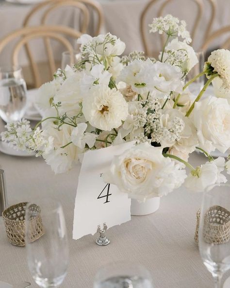 Disilvestro Napolitano 6.7.25 • Instagram Modern White Centerpiece Wedding, White And Green Florals For Wedding, Green And White Wedding Table Decor, Simple White Flower Centerpieces, White Floral Centerpieces Wedding, White Table Centerpieces, White And Green Centerpieces, White Flowers Aesthetic, White Wedding Table Decor