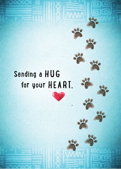 Cat In Heaven Quotes, Loss Of Dog Sympathy, Dog Condolences Loss Of Pet, Loss Of Pet Dog Sympathy Cards, Pet Loss Sympathy Messages, Loss Of A Dog Sympathy, Sorry For Your Loss Dog, Cat Sympathy Cards, Loss Anniversary