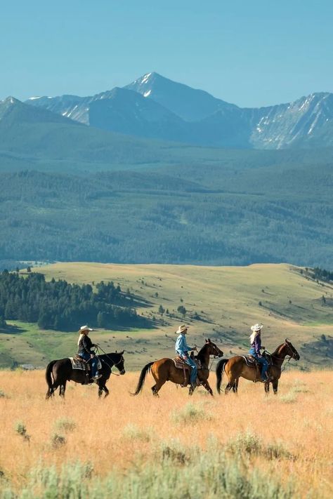 Luxury All-Inclusive Dude Ranch | The Ranch at Rock Creek Ranch Vacation, Montana Style, Horseback Riding Lessons, Montana Ranch, Natural Horsemanship, Vacation Activities, Guest Ranch, True Winter, Big Sky Country