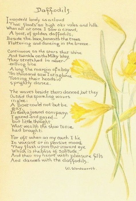 Dandelion Poem, Daffodil Quotes, Poem Daffodils, Bedtime Poems, Daffodils Poem, Daffodils William Wordsworth, Elements Quote, Garden Poems, Quotes Flowers