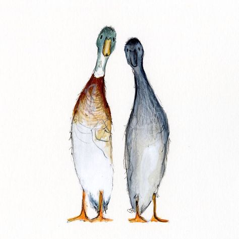 Runner Ducks Drawing, Runner Duck Painting, Runner Duck Illustration, Indian Runner Duck Drawing, Duck Family Drawing, Runner Duck Tattoo, Runner Duck Drawing, Duck Painting Easy, Watercolor Ducks