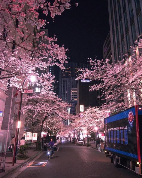 Japan Travel Guide Osaka #TravelToJapanVaccinations Refferal: 2426185803 #JapanTravelCities Cherry Blossom Trees, Japon Illustration, Japan Aesthetic, Aesthetic Japan, Japanese Aesthetic, City Wallpaper, Blossom Trees, Night City, Night Aesthetic