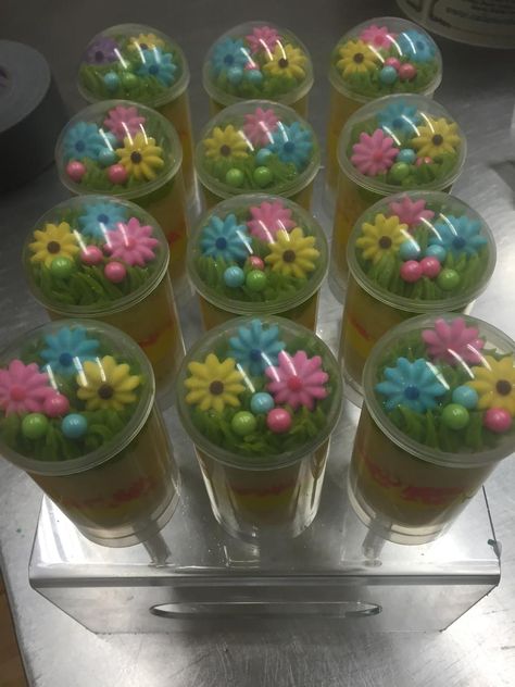 Calumet Bakery Easter Cake Push Pops Easter Cake Push Pops, Push Pop Desserts, Calumet Bakery, Cake Push Pops, Push Up Pops, Pop Cake, Pop Cakes, Easter 2024, Pop Ideas