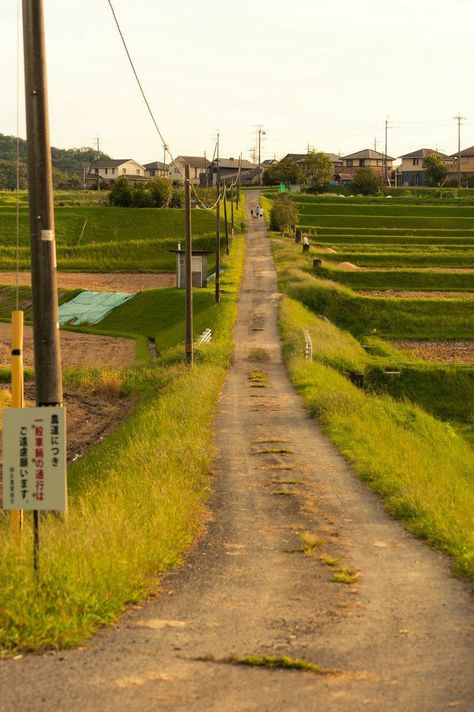 Japan Countryside, 숲 사진, Japanese Countryside, Japanese Town, Scenery Photography, Power Lines, Green Field, Japan Aesthetic, Aesthetic Japan