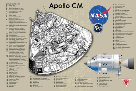 Apollo spacecraft, Rockwell / NASA (1966-1975) | Frank Munge… | Flickr Apollo Spacecraft, Apollo Space Program, Nasa Space Program, Nasa History, Nasa Space Shuttle, Nasa Apollo, Apollo Program, Apollo Missions, Moon Missions