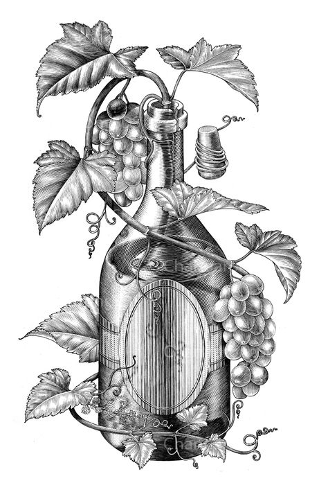 Wine Bottle Drawing, Wine Bottle Illustration, Grape Drawing, Art Du Vin, Wine Tattoo, Black And White Clip Art, Bottle Illustration, Illustration Black And White, Bottle Tattoo