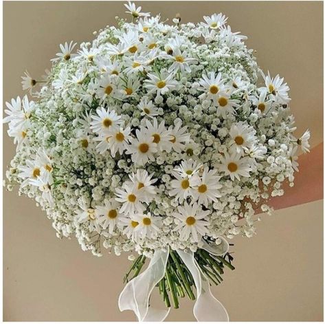 Church Wedding Decorations Aisle, Daisy Bouquet Wedding, White Rose Bridal Bouquet, Wedding Theme Color Schemes, White Rose Wedding Bouquet, Pretty Flowers Pictures, Simple Wedding Bouquets, White Flower Arrangements, Button Holes Wedding