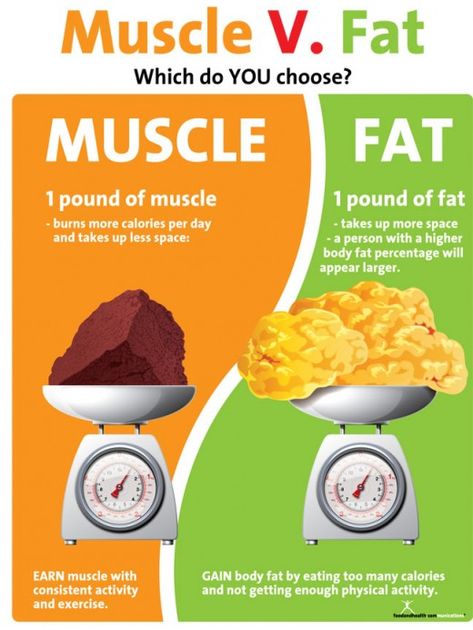 Wanting to lose weight is a common thing these days, some people only want to lose in certain areas, this actually is changing the composition of your body. Exercise Poster, Fitness Poster, Body Fat Percentage, Workout Posters, Pound Of Fat, Reduce Body Fat, Nutrition Education, Body Composition, Fat To Fit