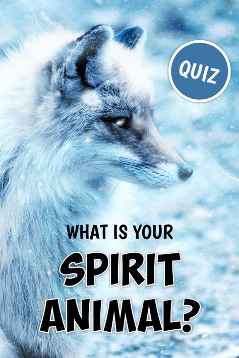 Everyone's talking about spirit animals these days. A belief rooted in many indigenous cultures is now an internet phenomenon. 🦊 So, what's your spirit animal? Take this quiz to find out who your inner beast is. 📝Once you know your spirit animal, challenge a friend to this quiz and see if their inside matches who they appear to be on the outside. 🎭 Ask Your Friend What Animal You Are, Spirit Animals By Birth Month, What Is My Spirit Animal Quiz, How To Find Your Spirit Animal, Am I A Therian Quiz, What Animal Am I Quiz, Therian Quiz, Spirit Animal List, What Animal Am I