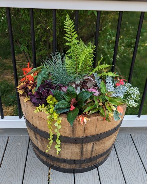 Just take a moment to appreciate this large, round, barrel planter and its rustic charm! Why settle for ordinary when you can elevate your outdoor space with a barrel planter? Barrel Flower Arrangements, Whiskey Barrel Planter Flowers, Planters For Shade, Planter Flowers, Whiskey Barrel Ideas, Furniture Moodboard, Whiskey Barrel Planter, Barrel Flowers, Wine Barrel Planter