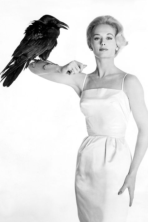 The Birds Movie, Tippi Hedren, Alfred Hitchcock Movies, Pose Model, Melanie Griffith, For The Birds, I Love Cinema, Entertainment Weekly, Alfred Hitchcock