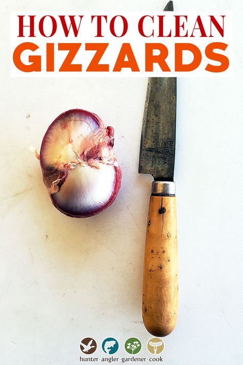 When life gives you gizzards, you need to learn how to clean gizzards. Amiright? Yeah, yeah, I can hear you thinking: “Ew, why would I eat that?” Because they’re good. One of the more unloved giblets, gizzards are both an internal organ and dense nuggets of deep burgundy meat. That’s right, I said meat. A gizzard is made of muscle, just like the breast or thigh meat. You just have to get to it first. | @huntgathercook Turkey Gizzards Recipes, Chicken Gizzards And Hearts Recipes, Chicken Gizzards Crockpot, Duck Gizzards Recipe, Gizzard Stew Recipe, Chicken Gizzard Recipe, Chicken Gizzards Recipe, Gizzard Recipe, Fried Gizzards