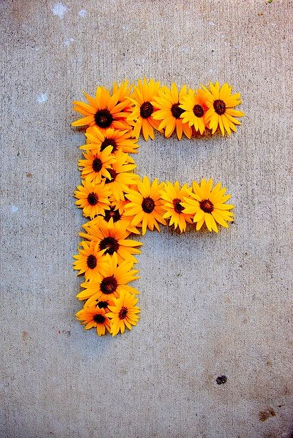 Make flowers into letters DIY Decorating Letters, Sunflower Room, Creative Alphabet, The Letter F, Sunflower Party, Sunflower Crafts, Alphabet Photography, Alphabet Images, Diy Letters