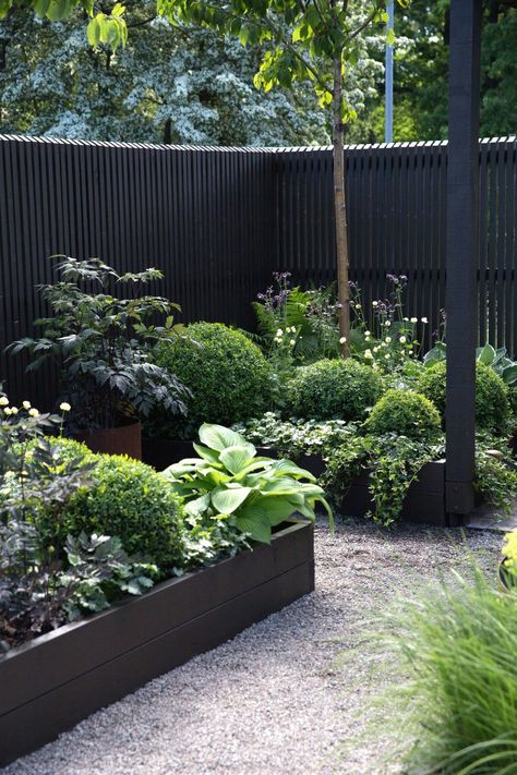 Fantastic Free painted Garden Fence Concepts Deterring animals is the most effective uses of a fence. Listed here are some ideas to consider when Lots Of Plants, Black Fence, Black Garden, The Secret Garden, Garden Show, Garden Pictures, Garden Bed, Garden Fencing, Courtyard Garden