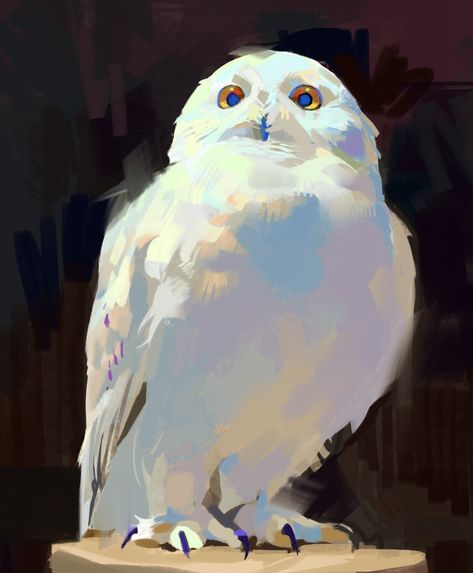 hap (@_happeh) on X Owls Drawing, Realism Painting, Pretty Drawings, Fantasy Art Landscapes, Bird Illustration, Gorgeous Art, Art Inspiration Drawing, Creature Art, Bird Art