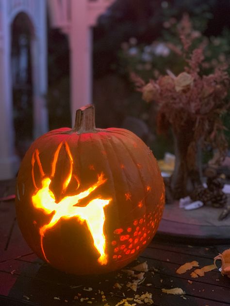 Jack O, Jack O Lantern, Pumpkin Carving, Lanterns, Carving, Halloween