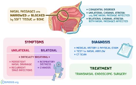 •Signs of retracted drum (5) الاجابه: A retracted eardrum can cause ear pain, temporary hearing loss, and drainage of fluid from the ear. Causes include infections of the middle ear or sinuses, allergies, enlarged adenoids or tonsils, or a prior ruptured eardrum. A retracted eardrum can sometimes resolve on its own. _______ •Mechanism of hearing الاجابه: Hearing starts with the outer ear. When a sound is made outside the outer ear, the sound waves, or vibrations, travel down the external auditor Ear Disorders Nursing, Ear Biology, Left Ear Right Ear Music, Structure Of Ear Diagram, Ruptured Ear Drum, Difficulty Breathing, Outer Ear, Middle Ear, Nasal Passages