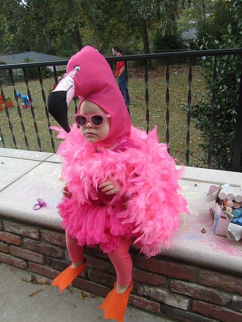 Cutest thing i have ever seen! Pink Flamingo toddler costume. Alia would love this!! Costumes Faciles, Flamingo Costume, Halloween Infantil, Costume Carnaval, Baby Kostüm, Homemade Costumes, Toddler Halloween Costumes, Girl Halloween, Toddler Costumes