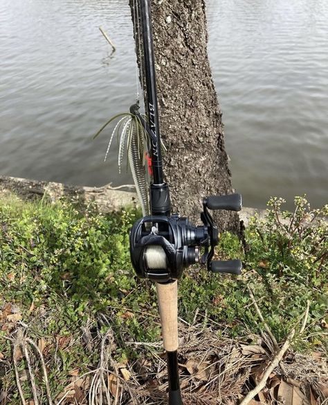 Baitcaster Reels, Bait Caster, Freshwater Fishing, Fishing Rods, Rod And Reel, 2024 Vision, Country Girl, Caster, Fishing Rod