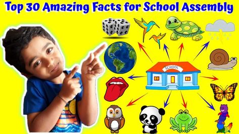 Top 30 Amazing Facts for School Assembly Amazing Facts For Kids, Amazing Facts About Animals, Facts About Animals, School Assembly, Fun Facts For Kids, Fun Facts About Animals, School Assemblies, Amazing Science Facts, Facts For Kids