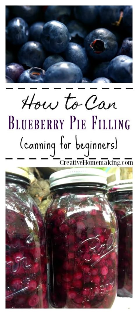 Canning Blueberry Pie Filling, Pie Filling Canning, Homemade Blueberry Pie Filling, Blueberry Pie Filling Recipes, Canning For Beginners, Berry Pie Filling, Homemade Blueberry Pie, Farm Recipes, Pie Fillings