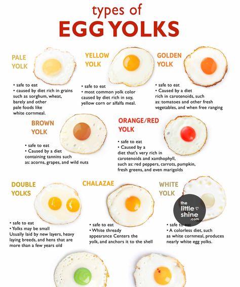 Egg Yolk Colors Chart - The Little Shine Egg Yolk Color Chart, Color Meaning Chart, Egg Chart, Turkey Eggs, Egg Yoke, Breakfast Around The World, Colors Chart, Types Of Onions, Egg Nutrition