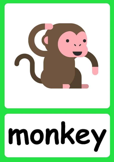 Jungle Animal flashcards + FREE Jungle background Aesthetic Cartoon Animals, Animals Wallpaper Cartoon, Cartoon Animals Drawing, Animals As People, Animals Flashcards For Kids, Ingles Kids, Jungle Background, Animals Preschool, Teach English To Kids