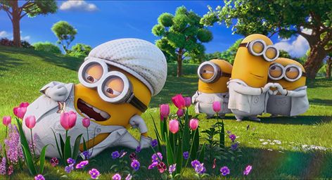 Minion 2, Hd Wallpapers For Laptop, Minion Banana, Minion Movie, The Minions, Wallpaper Notebook, Cute Minions, Minions Wallpaper, Laptop Wallpaper Desktop Wallpapers