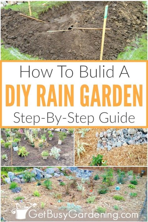 Improve drainage, and turn a section of your front or backyard into a rain garden! Learn all about how to build a rain garden that reduces erosion and flooding by redirecting runoff. Follow these step by step instructions to install one yourself, without the need for a professional landscaper. Get all the details to construct this beautiful and functional landscape feature, including tools and supplies, and everything else you need to know about how to build a DIY rain garden inexpensively. Diy Rain Garden, Rain Garden Diy, Rain Garden Landscape, Step Garden, Rain Garden Design, Backyard Drainage, Traditional Flower, Garden Steps, Dry Creek