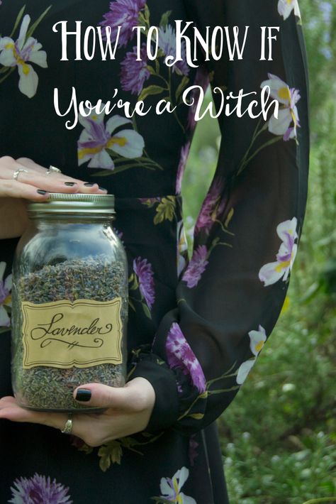 How to Know if You're a Witch | The Witch of Lupine Hollow How To Know If Your A Witch, How To Know If You Are A Witch, Dianic Witch, Dianic Wicca, Inner Witch, Green Witchcraft, Traditional Witchcraft, Magic Crafts, Witchcraft For Beginners