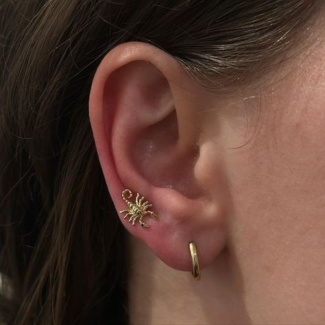 Aaron Victory on Instagram: "Lobe piercing @thebellrosetattoo with 14k gold scorpion from @tawapa #piercing #gold #scorpion #thebellrosetattoo" Scorpion Piercing, Gold Scorpion, Scorpion Earrings, Ear Curation, Lobe Piercing, Scorpion, My Jewellery, Gold, On Instagram