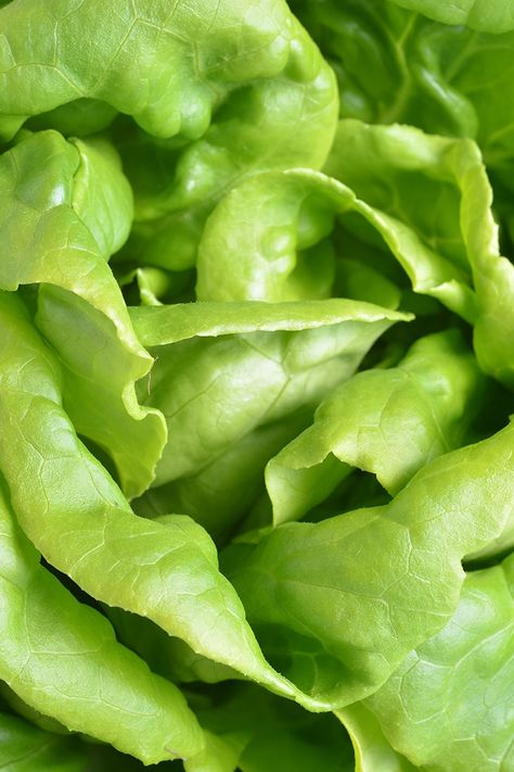 Wilted Lettuce Salad, Organic Dinner Recipes, Lettuce Soup, Organic Dinner, Greens Vegetables, Shrimp Lettuce Wraps, Lettuce Recipes, Lettuce Tacos, Wilted Lettuce