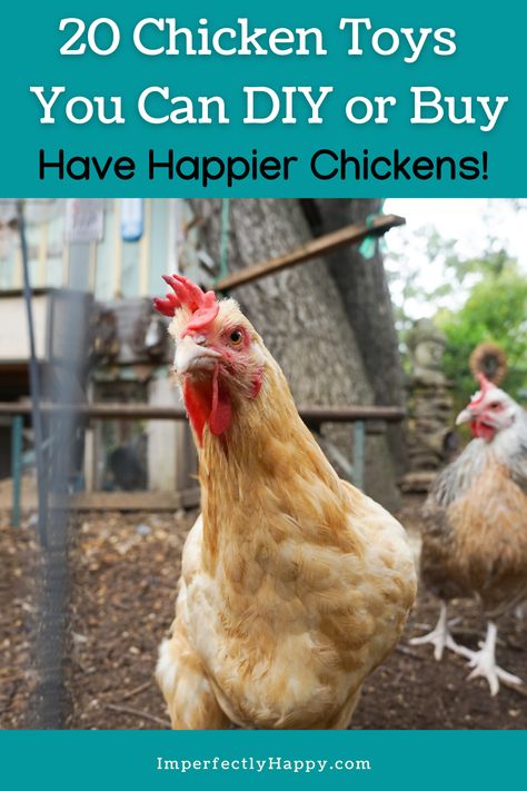 Toys For Chicken Coop, Chicken Yard Toys, Entertaining Chickens In Coop, Chicken Accessories For Coop, Chicken Run Toys Diy, Chicken Hacks Coop, Homemade Toys For Chickens, Fun Things For Chickens To Do, Diy Chicken Toys How To Make