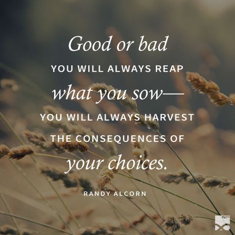 “Good or bad you will always reap what you sow—you will always harvest the consequences of your choices.” –Randy Alcorn You Reap What You Sow Quotes Karma, What You Reap Is What You Sow, What You Sow Is What You Reap, Sow And Reap Quote, Quotes About Choices And Consequences, Reap What You Sow Quotes Karma, Whatever You Sow You Will Reap, Reap And Sow Quotes, Real What You Sow Quotes