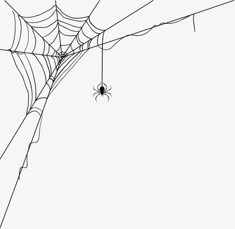 Spider Web Border, Draw Decoration, Spider Web Png, Spider Web Drawing, Spider Clipart, Spider Web Pattern, Spider Drawing, Spider Web Tattoo, Spider Pattern