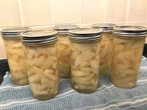 Pears in Light Syrup – Elizabeth Grace Gardens Canning Pears In Light Syrup, Kieffer Pear Recipes, Canning Pears, Elizabeth Grace, Food Prepping, Canned Pears, Bartlett Pears, Sliced Pears, Water Bath Canning