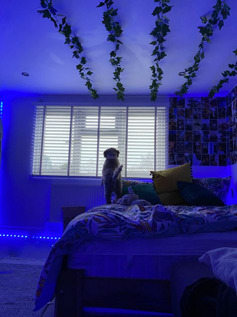 Room Inspo Led Lights Vines, Vine Ceiling Bedroom Aesthetic, Leaf Vines Decor Bedroom Ceiling, Vines On Ceiling Bedroom, Room Ideas Aesthetic Tapestry And Vines, Room Ideas Aesthetic Tapestry And Vines Led Lights, Bedroom Led Lights, Tiktok Bedroom, Teenage Room Decor