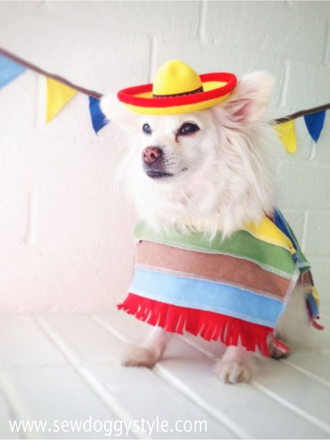 DIY Mini Flag Banner and Poncho Mayo Diy, Diy Poncho, Best Dog Costumes, Mini Flag, Hipster Dog, Diy Dog Costumes, Food Dog, Pet Halloween Costumes, Mini Flags