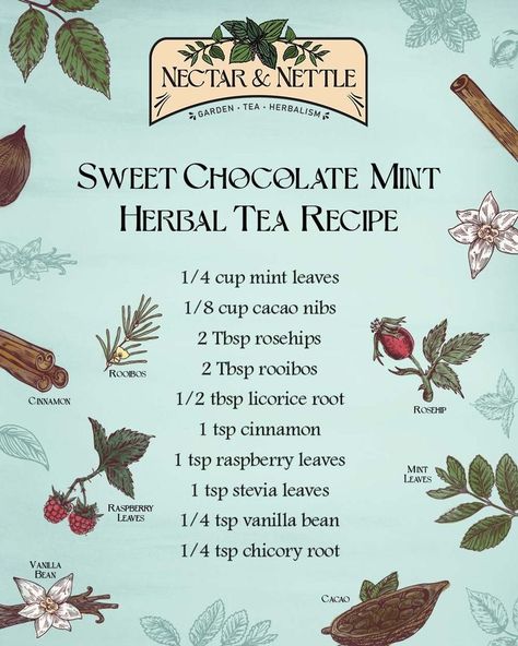 Herbal Tea Diy Recipes, Mint Tea Blends, Licorice Root Tea Recipes, Herbal Tea Blends Recipes Diy, Tea Recipes Herbal, Star Anise Tea Recipes, Herbal Elixir Recipes, Chocolate Mint Tea Recipe, Herbal Tea Blends Recipes