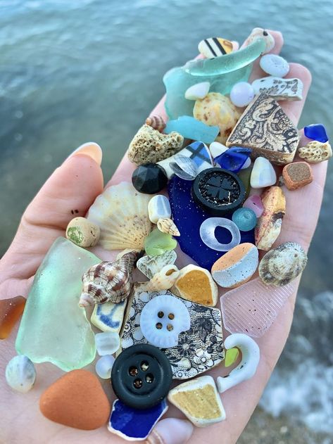 Things Found On The Beach, Seashells On The Beach, Beachcombing Finds, Sea Things, Sea Treasure, Sea Glass Beads, Beach Finds, Ocean Treasures, Shell Collection